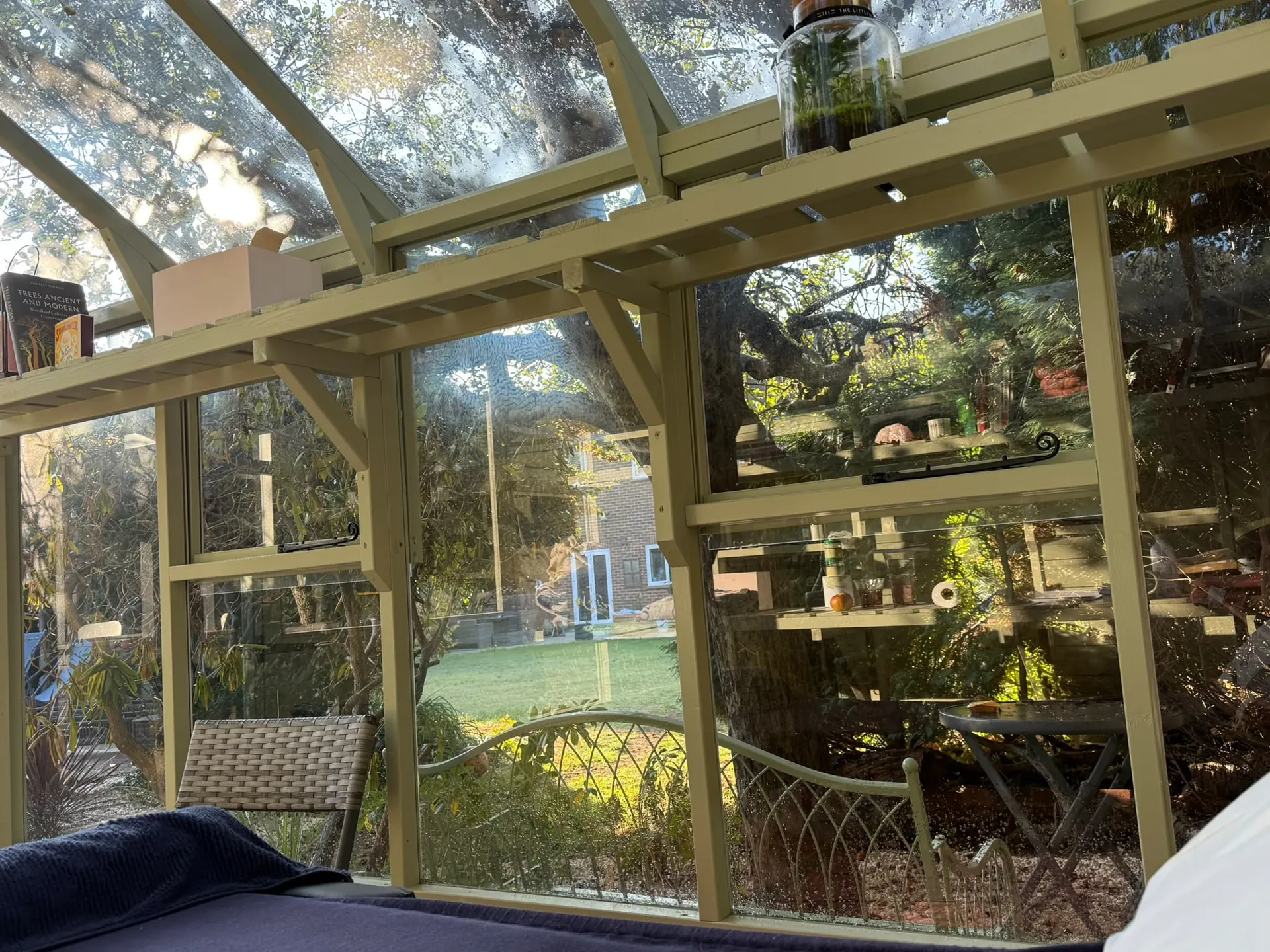 View from the treatment bed through tall glass panes to a sunlit lawn, an old tree and a curved garden bench