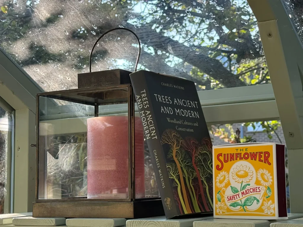 A brass lantern with a pink candle, a book about trees and a box of sunflower matches on a sunlit shelf