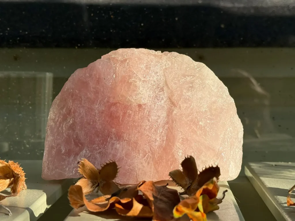 A piece of rough rose quartz glowing pink in the sunlight, with dried beech husks on a painted shelf